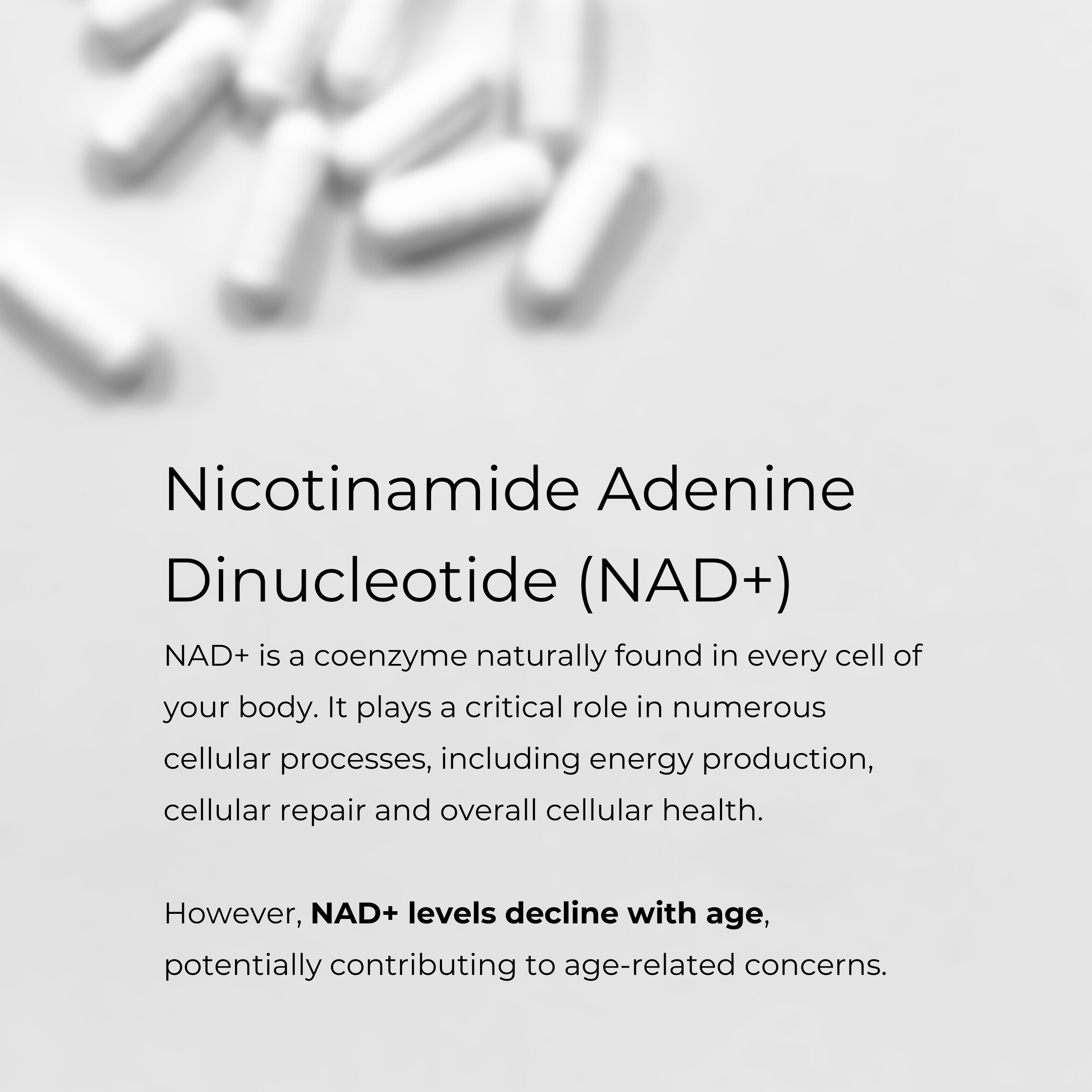 Charava_SouthAfrica_Nad_Supplement_capsules